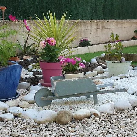 Appartement Studio Le Lavandou